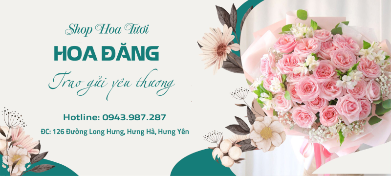 Hoa Đăng Flower - Shop Hoa Tươi Cao Cấp