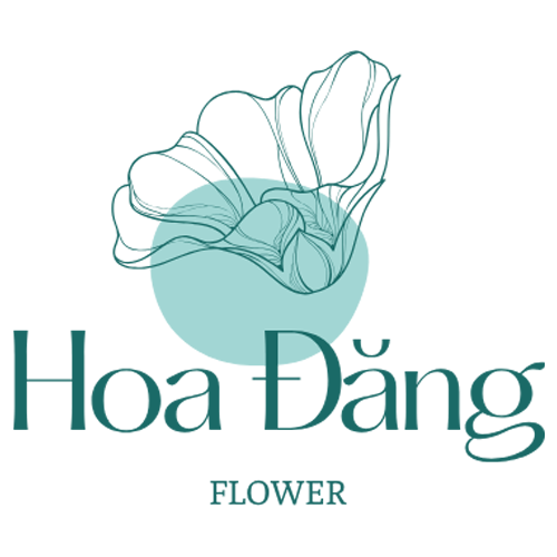 Hoa Đăng Flower